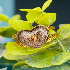 Anillo Joya con Alma — Pelo de Mascota